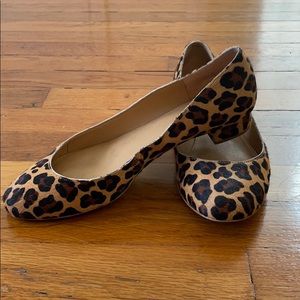 J Crew Low Heel Ballerina Shoes